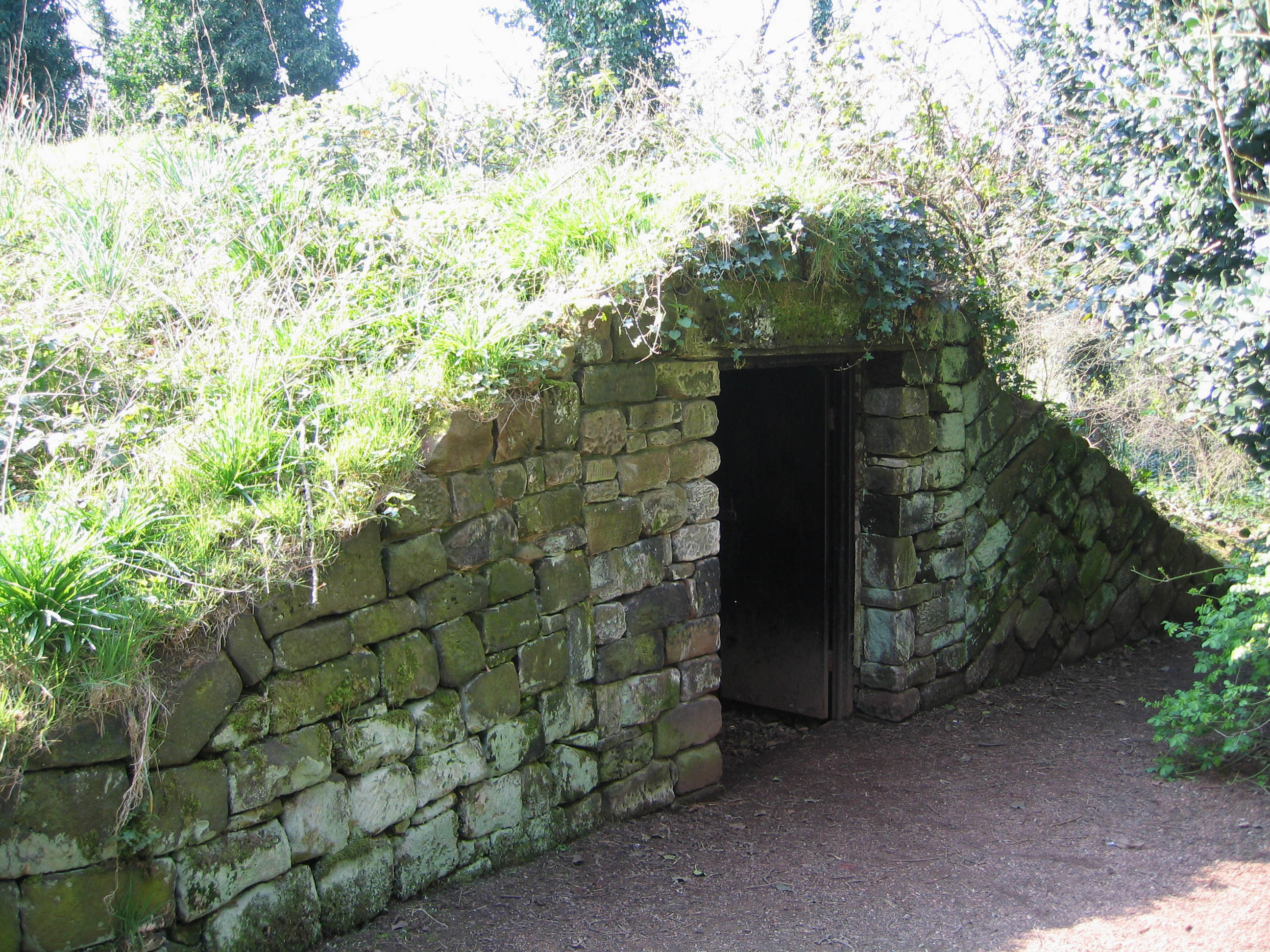 Picture of an Ice House Cold Storage
