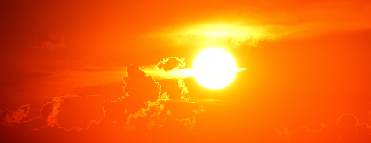 Picture of a Summer Heatwave