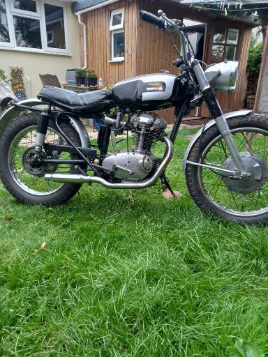 Ducati 250 Scrambler 1