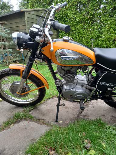 Ducati 250 scrambler 2
