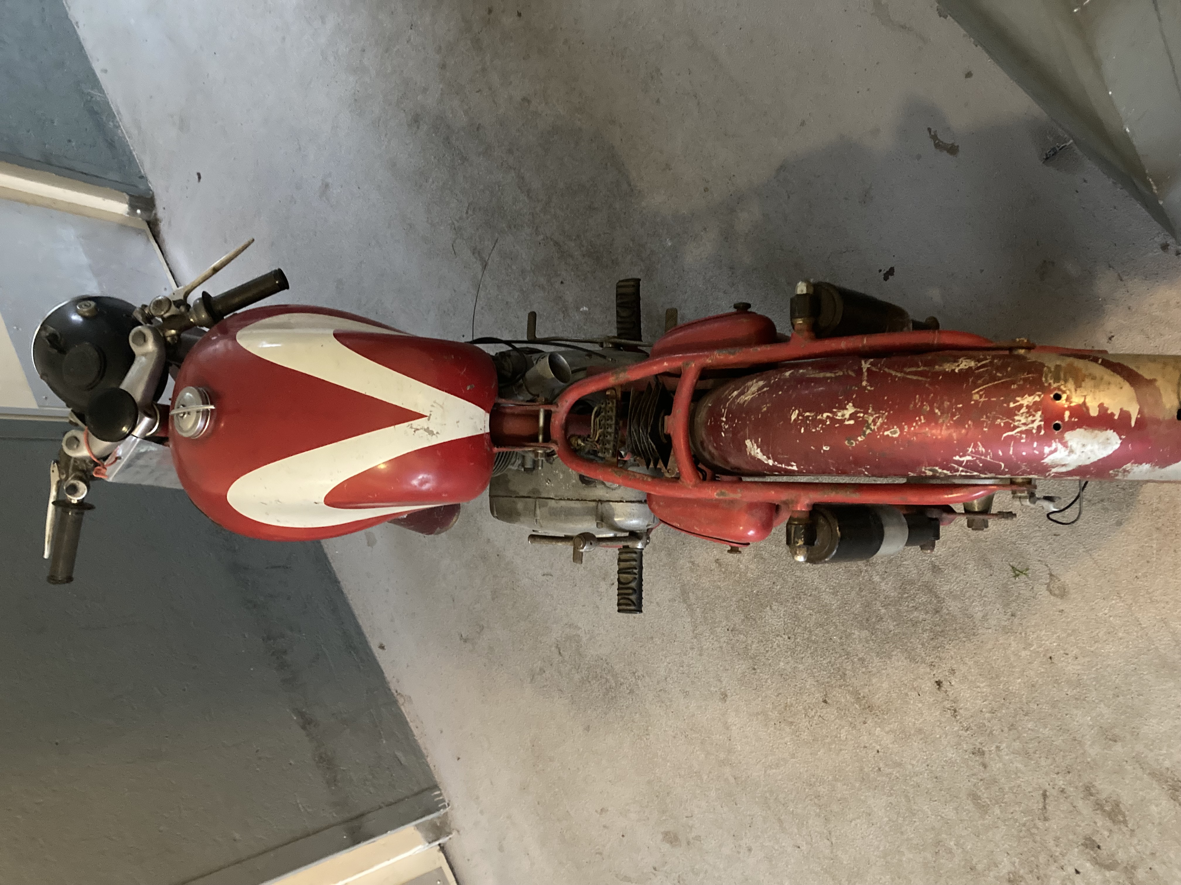 ducati 175 2