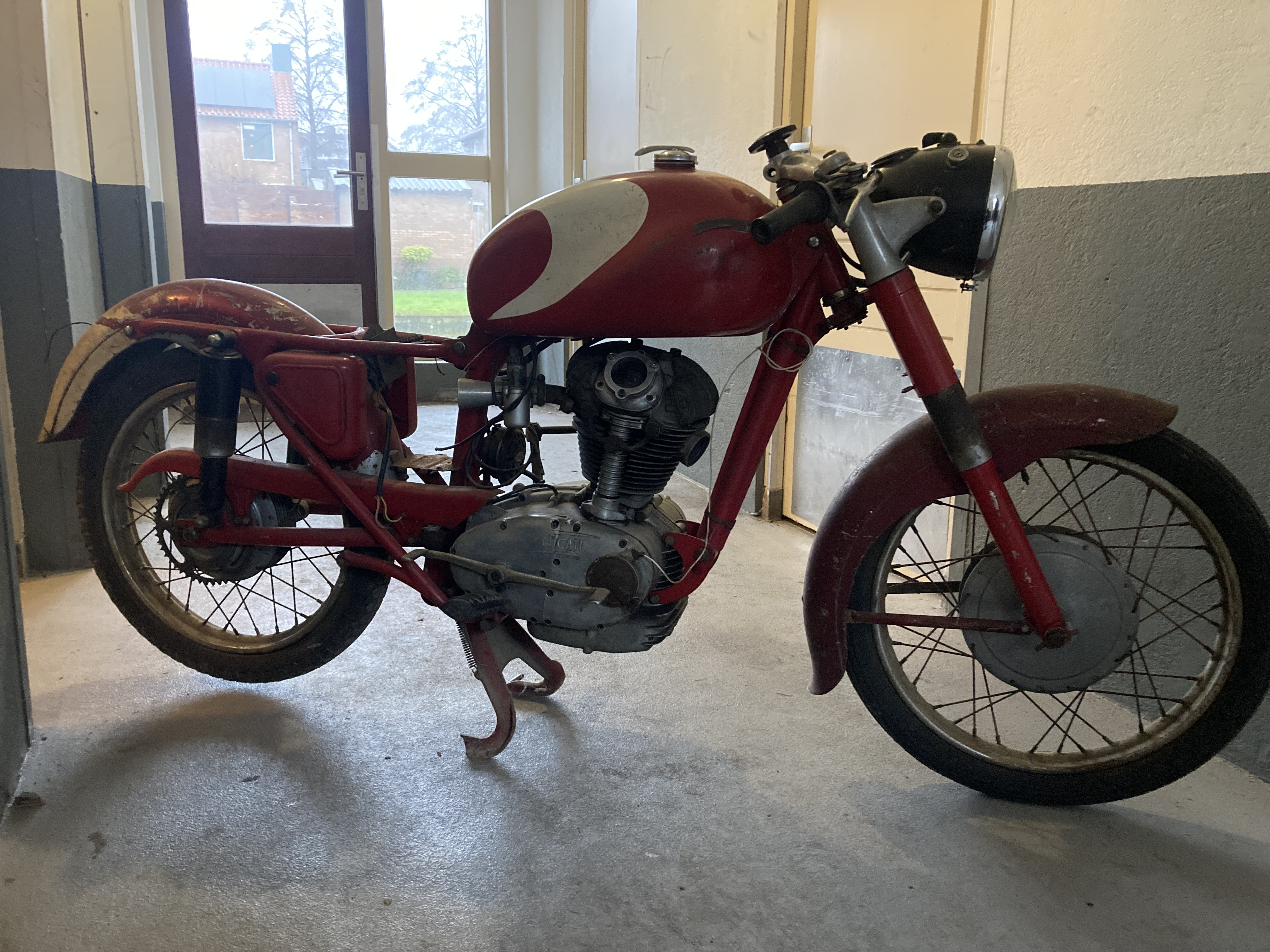 ducati 175 4