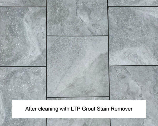 LTP Grout Stain Remover