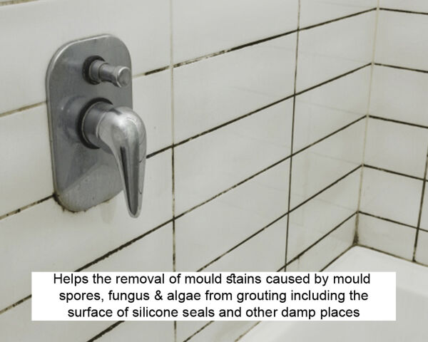 LTP Mouldex Spray