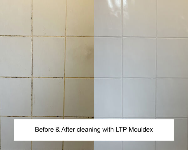 LTP Mouldex Spray