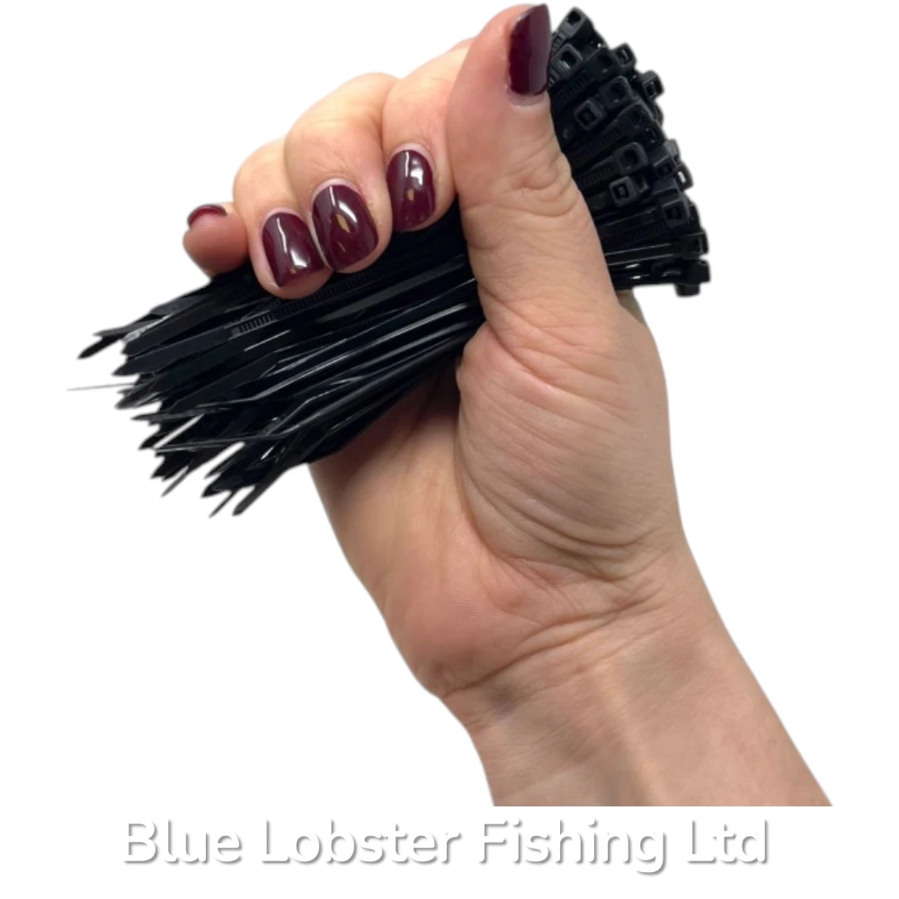 Cable Tie  100mmx2.5mm Bags of 100 Black 