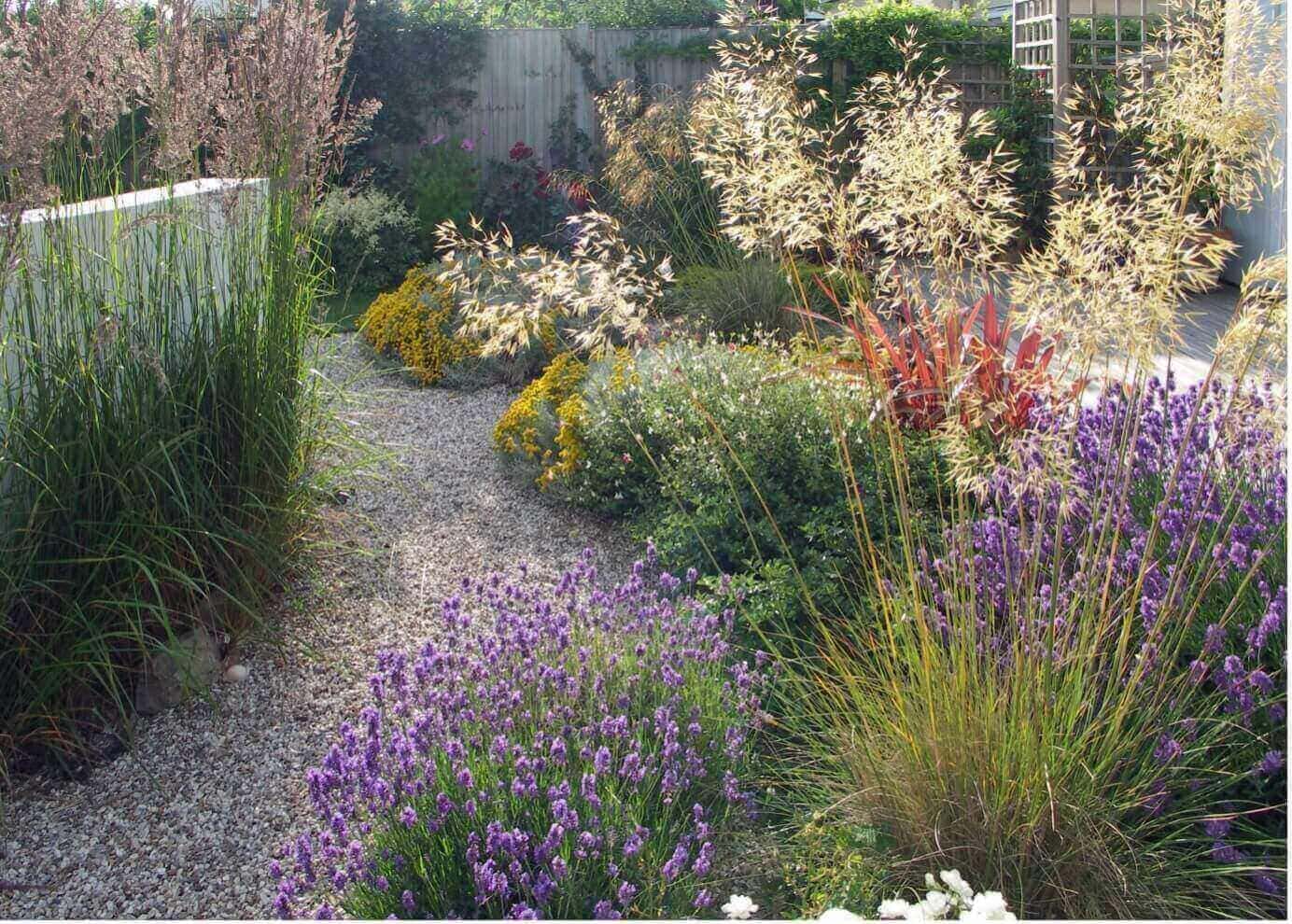 Combine Plants that can Tolerate Drought and Waterlogging
