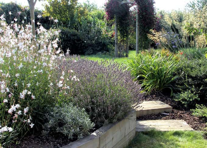 Multi-level garden with paved steps between stages on a bright day.