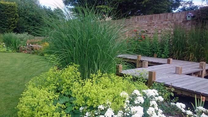 A Creative Drainage Solution