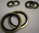 BSP Bonded Seals