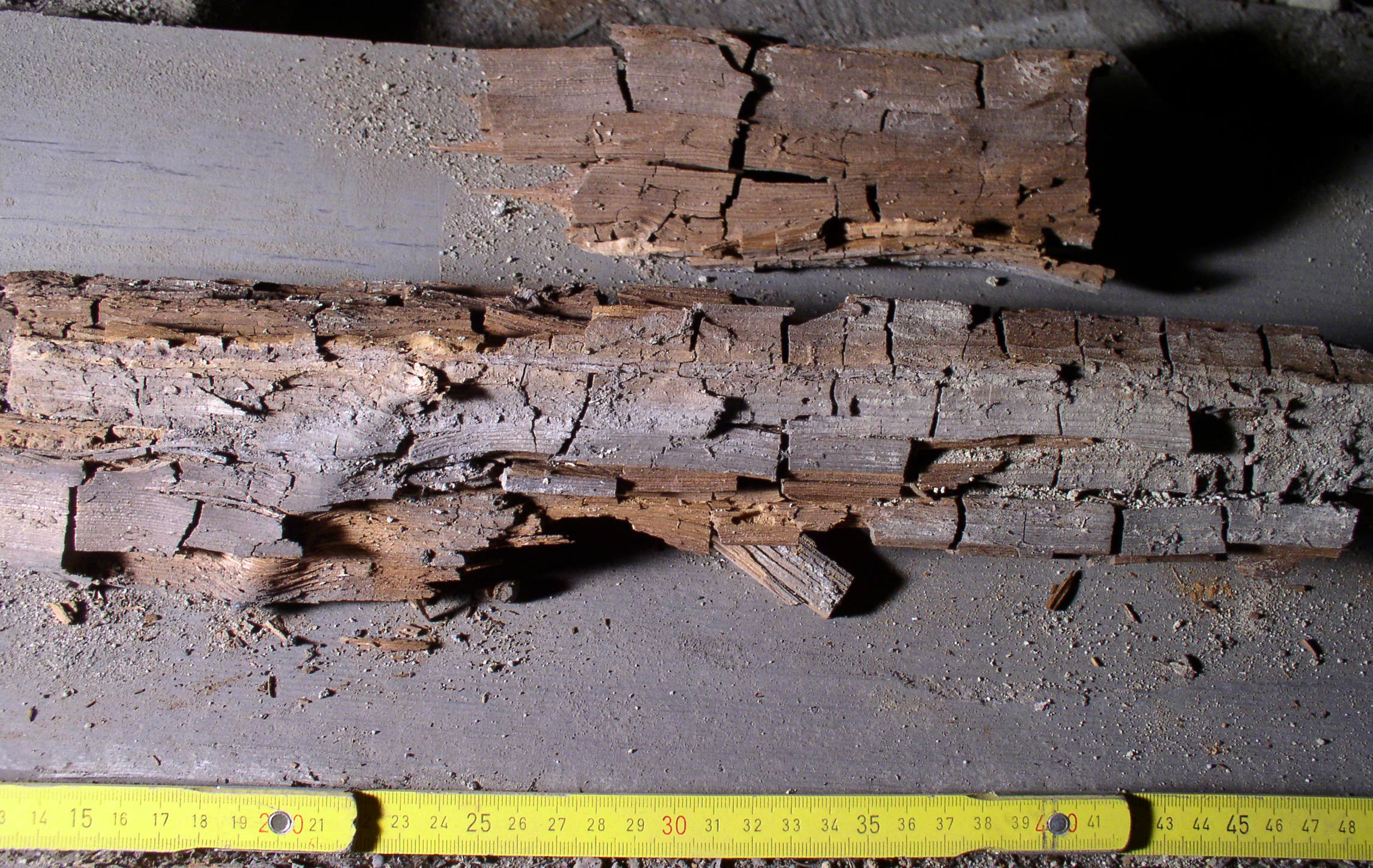 Dry Rot Damaged Wood