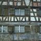Picture of Wet and Dry Rot