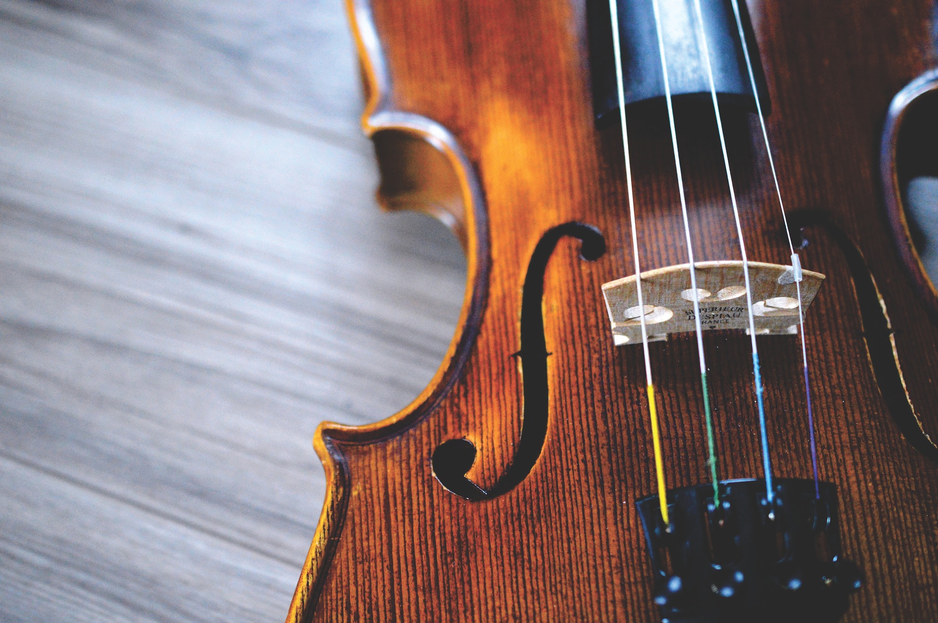 Picture of a Treated Violin