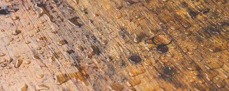Picture of Wet Treated Wood