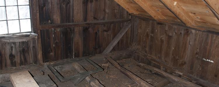 Wet Rot Treatment