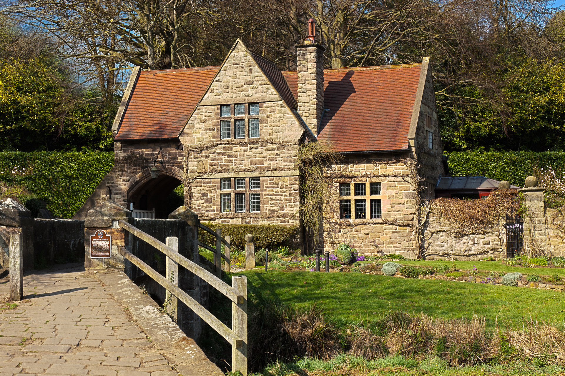 timber treatment in old houses
