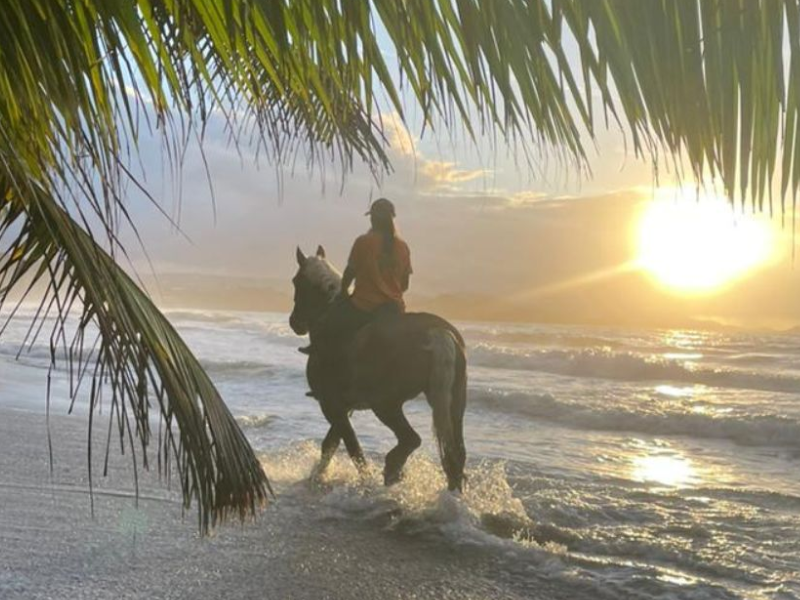 Activités équestres en Martinique – Co Équi Pieds