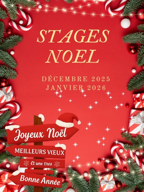 Stages des vacances de Noël