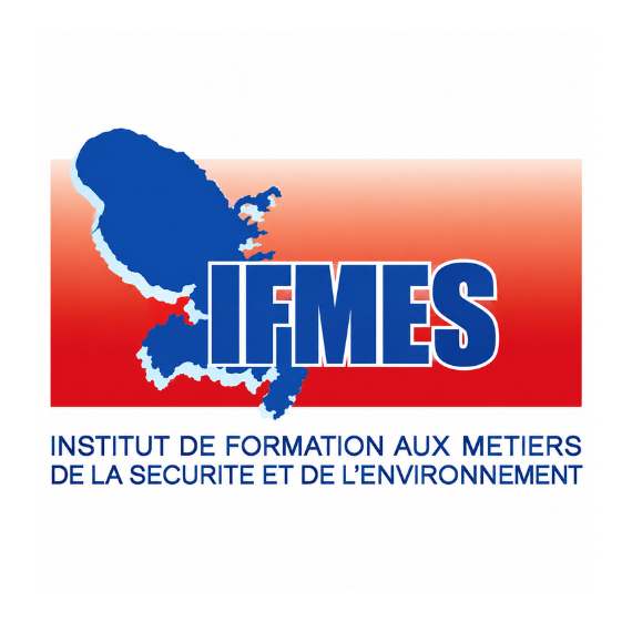 logo imfes