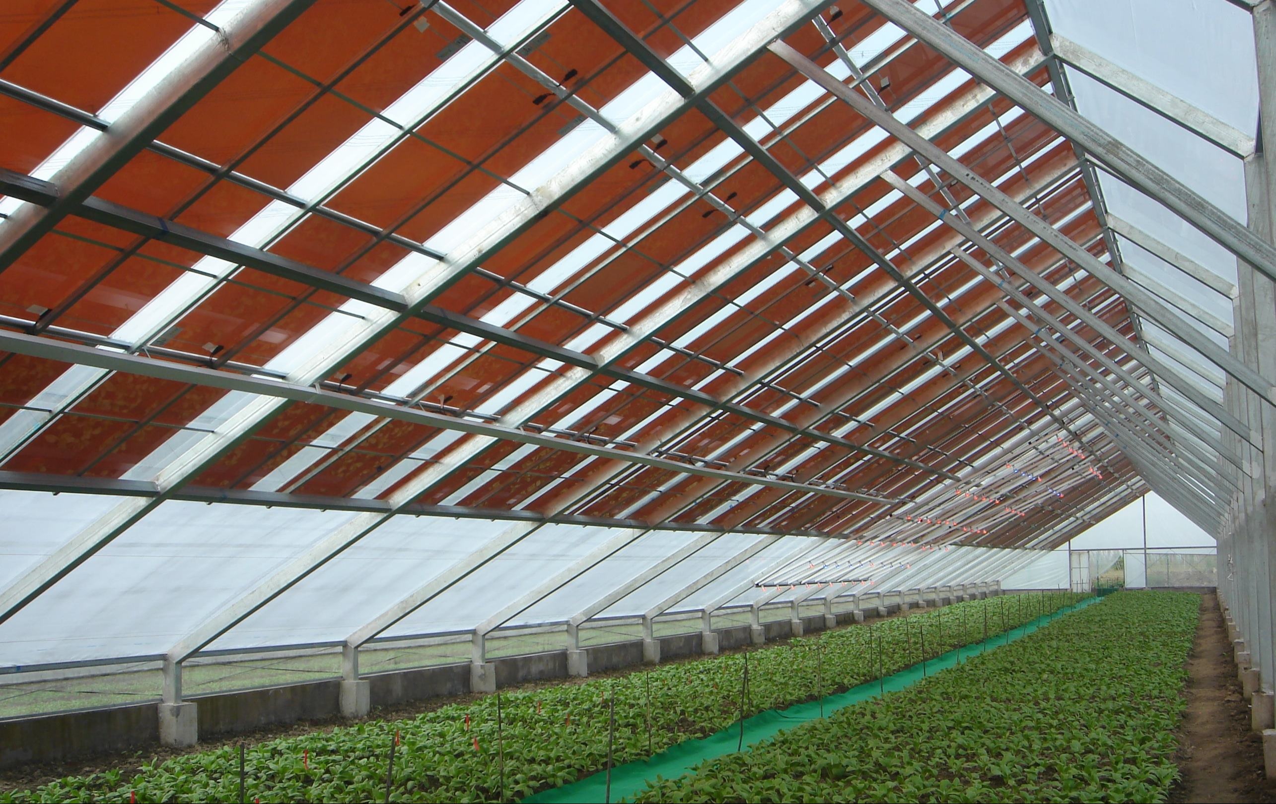 Greenhouse with solar glass