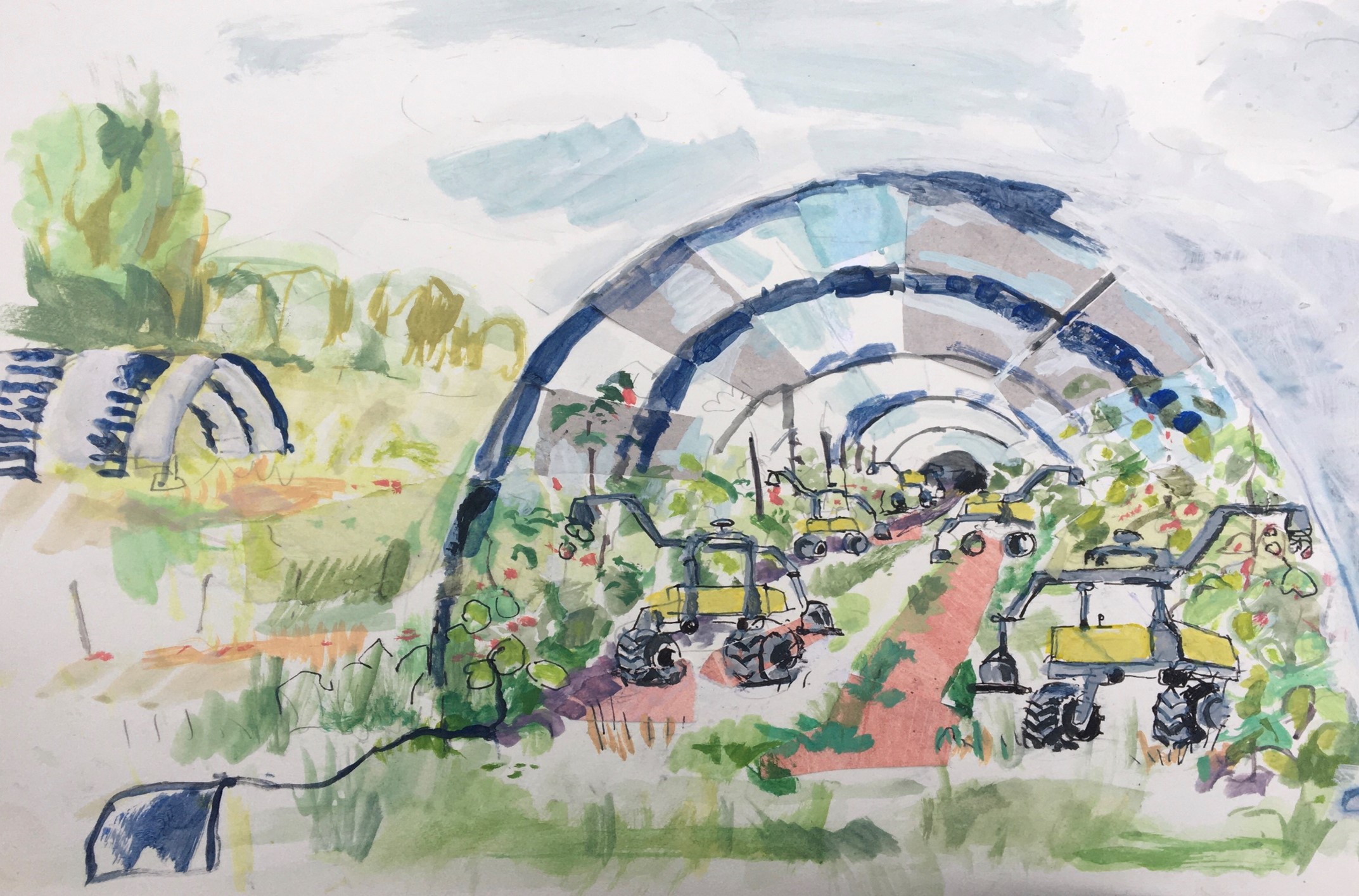 solar power polytunnel