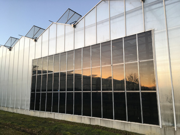 Solar Greenhouses