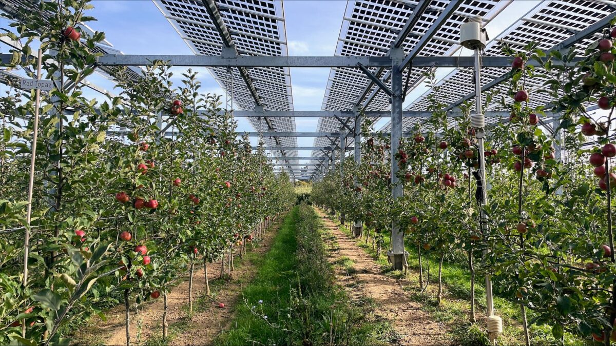 Suspended Solar Structure