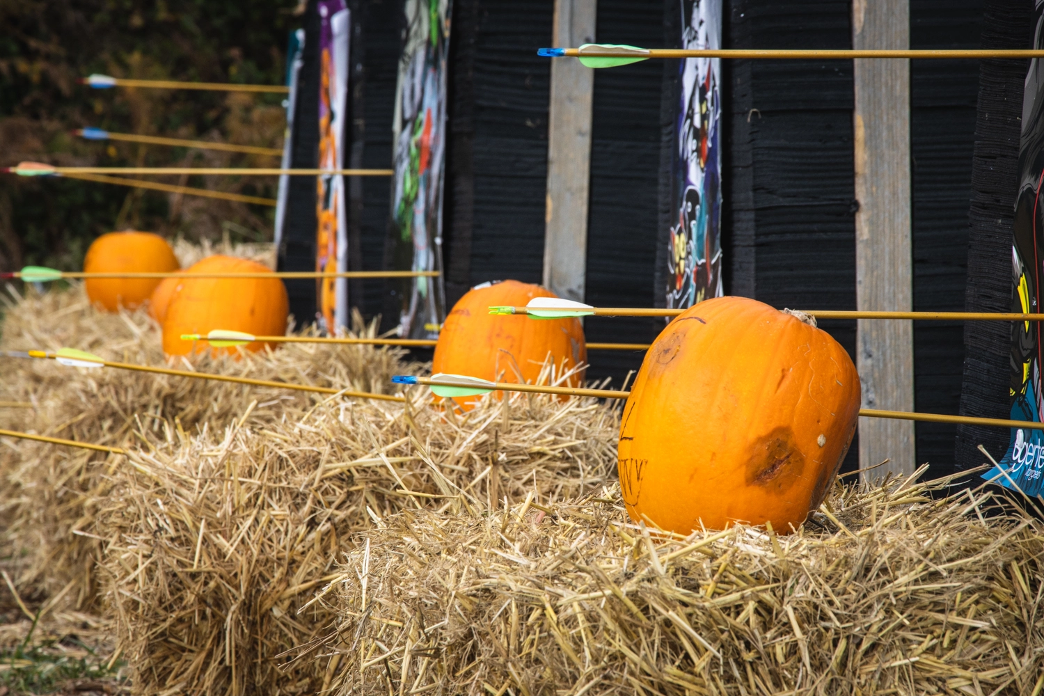 Halloween Archery Pumpkin Shooting