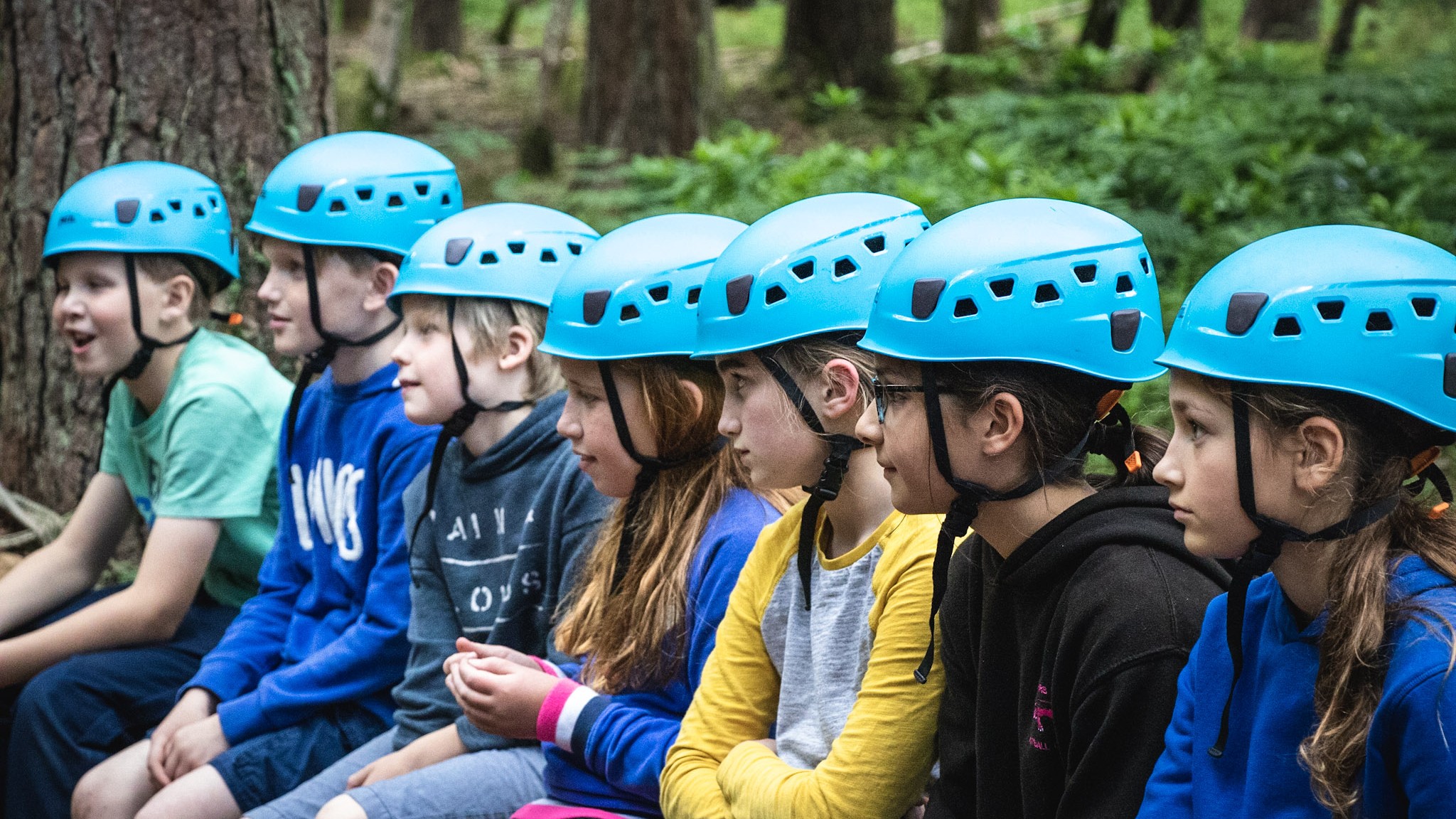 A full day of outdoor childcare and adventure in the New Forest