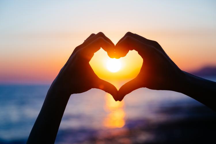 Valentine’s Day activities in the New Forest