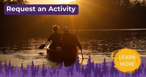 Outdoor activities in The New Forest all year round