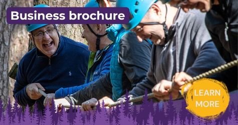 Teambuilding in The New Forest