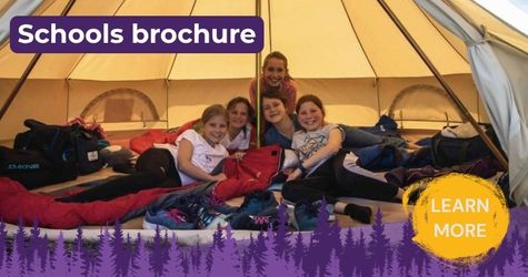 Activities for Schools in The New Forest