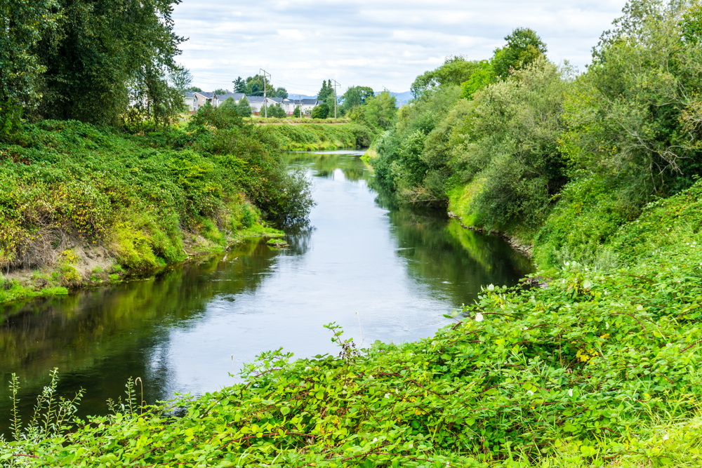 River in Kent
