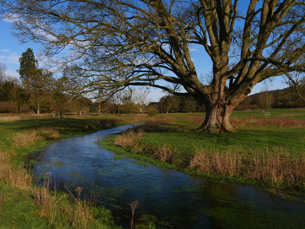 River Misbourne