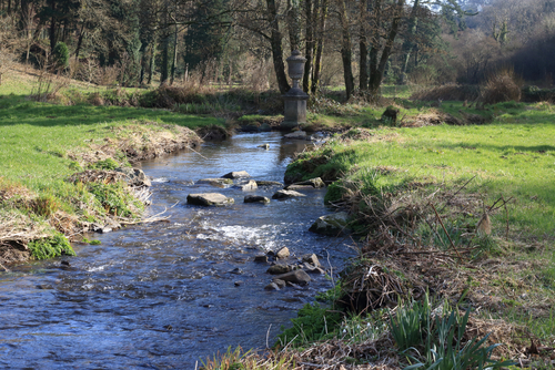Water flowing down a stream in the UK