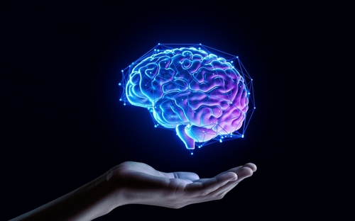 Brain in hand representing AI