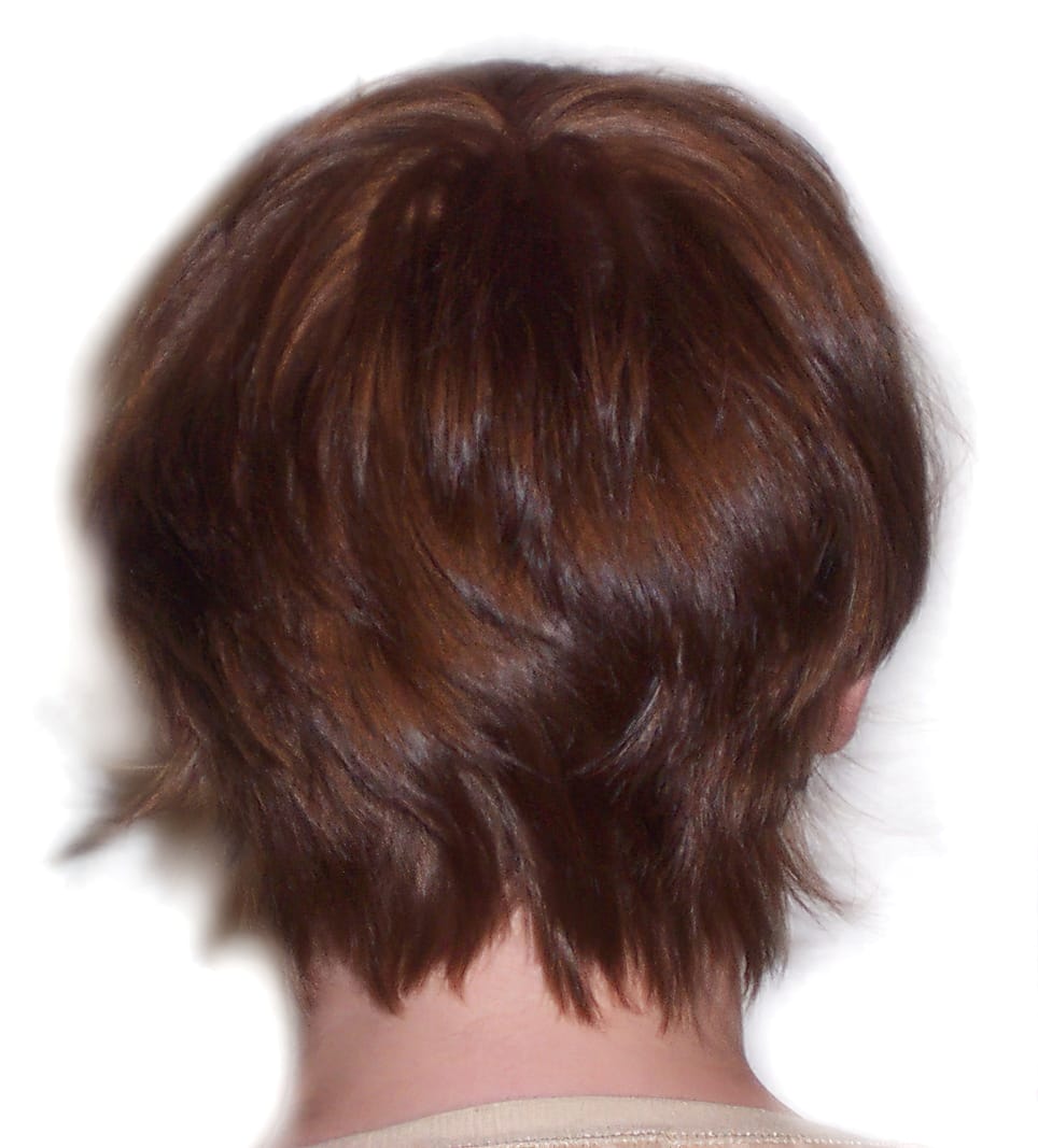 Before Picture - Big Body Boost for Short Hair