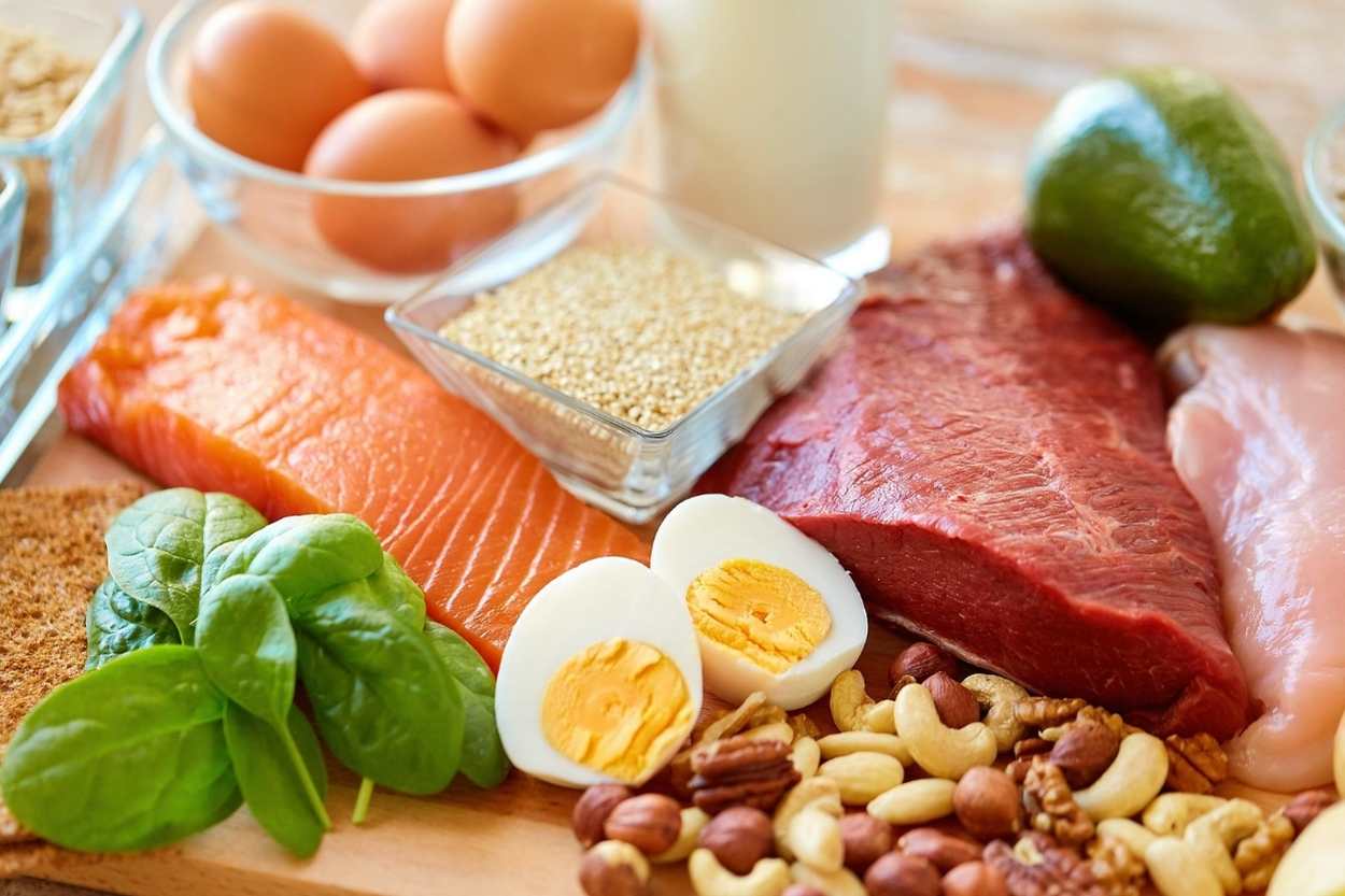 Protein Malnutrition