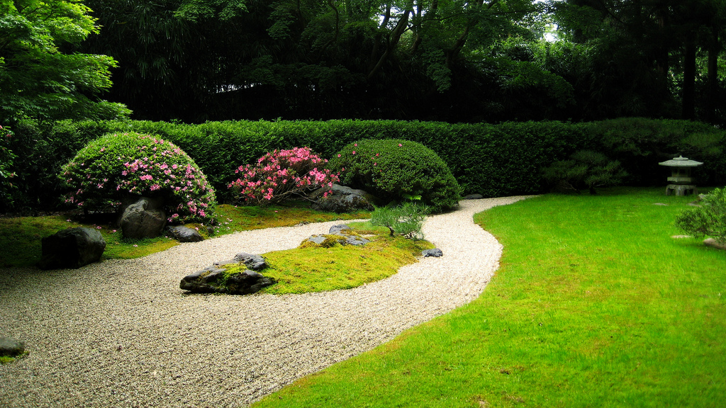Topsoil and Turf