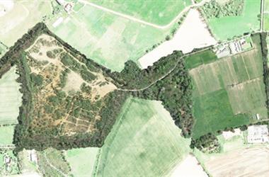 Sussex Site | Sussex