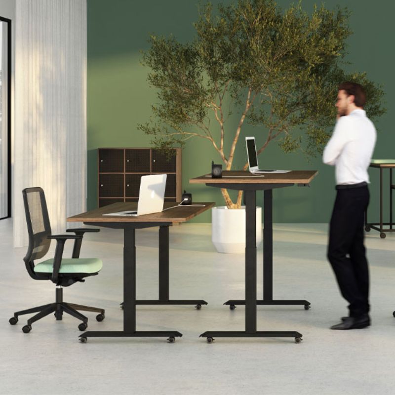 Bureau électrique réglable LUTZ plateau noyer et pieds noirs 160x80