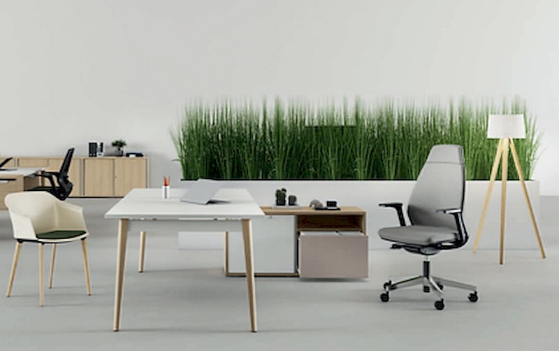 Bureau direction Robin