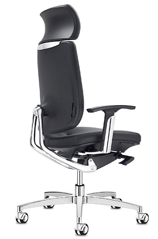 Siège ergonomique Spirit Sitland