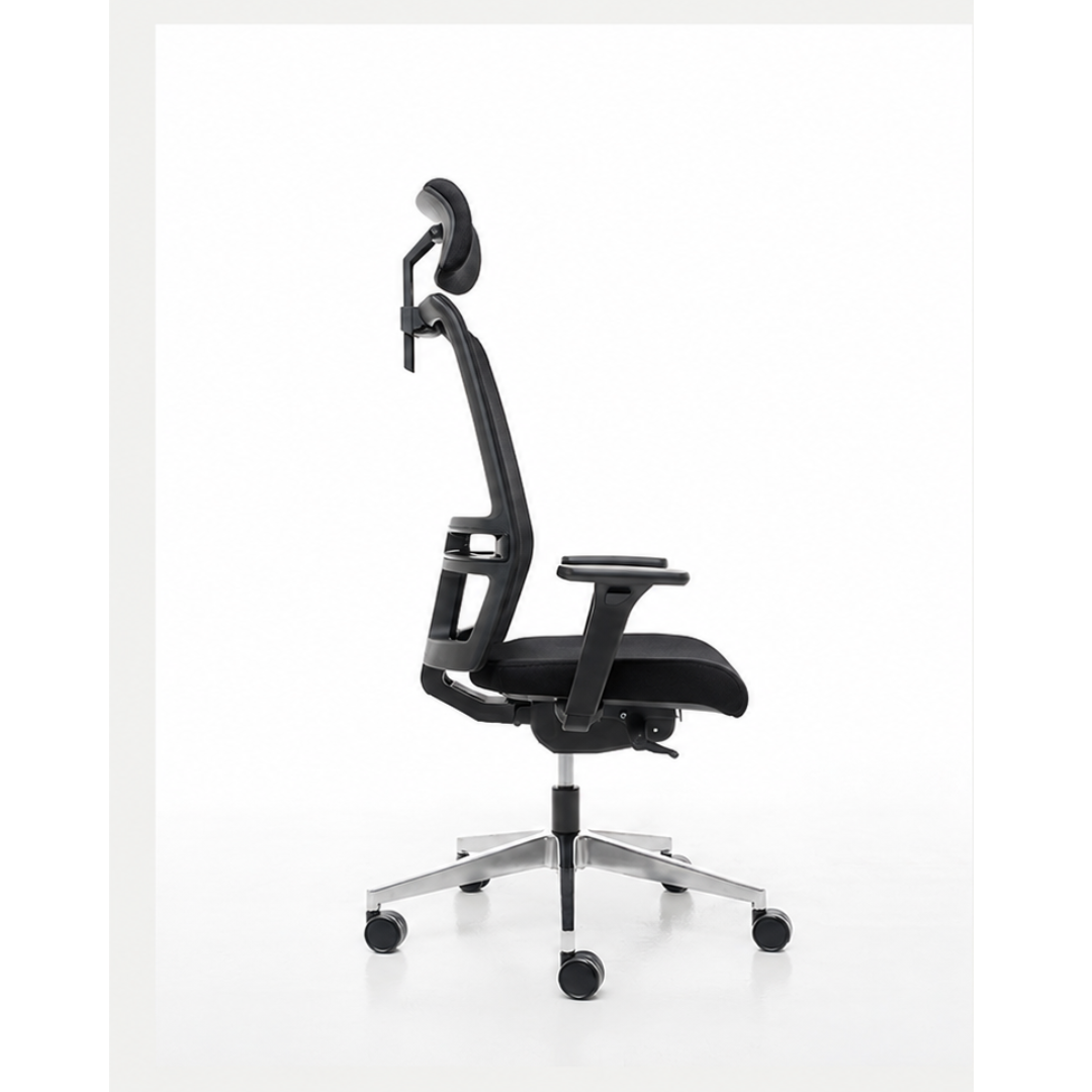 Siège ergonomique Omnia Linea