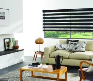 Living room with modern black and white zebra blinds on the window.