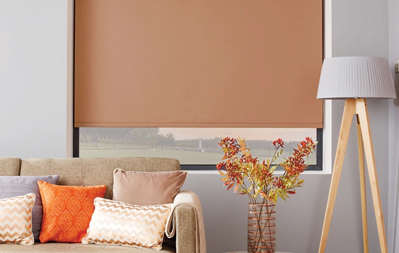 Living room with brown roller blinds, sofa, decorative pillows, and a floor lamp. 