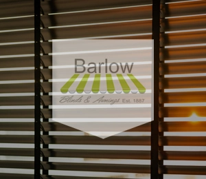 Home Automation for Blinds