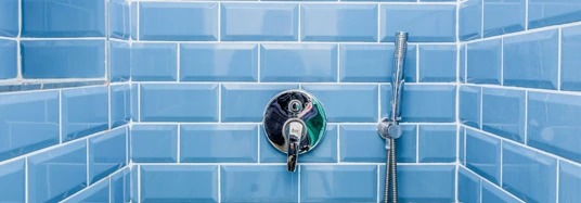 Tile Repair