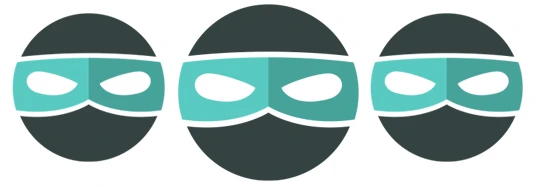 Professional Team